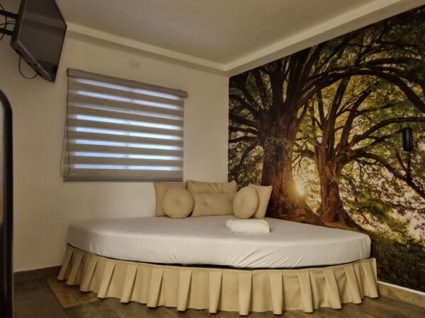 Habitación Temática Tipo Glamping - Image 4
